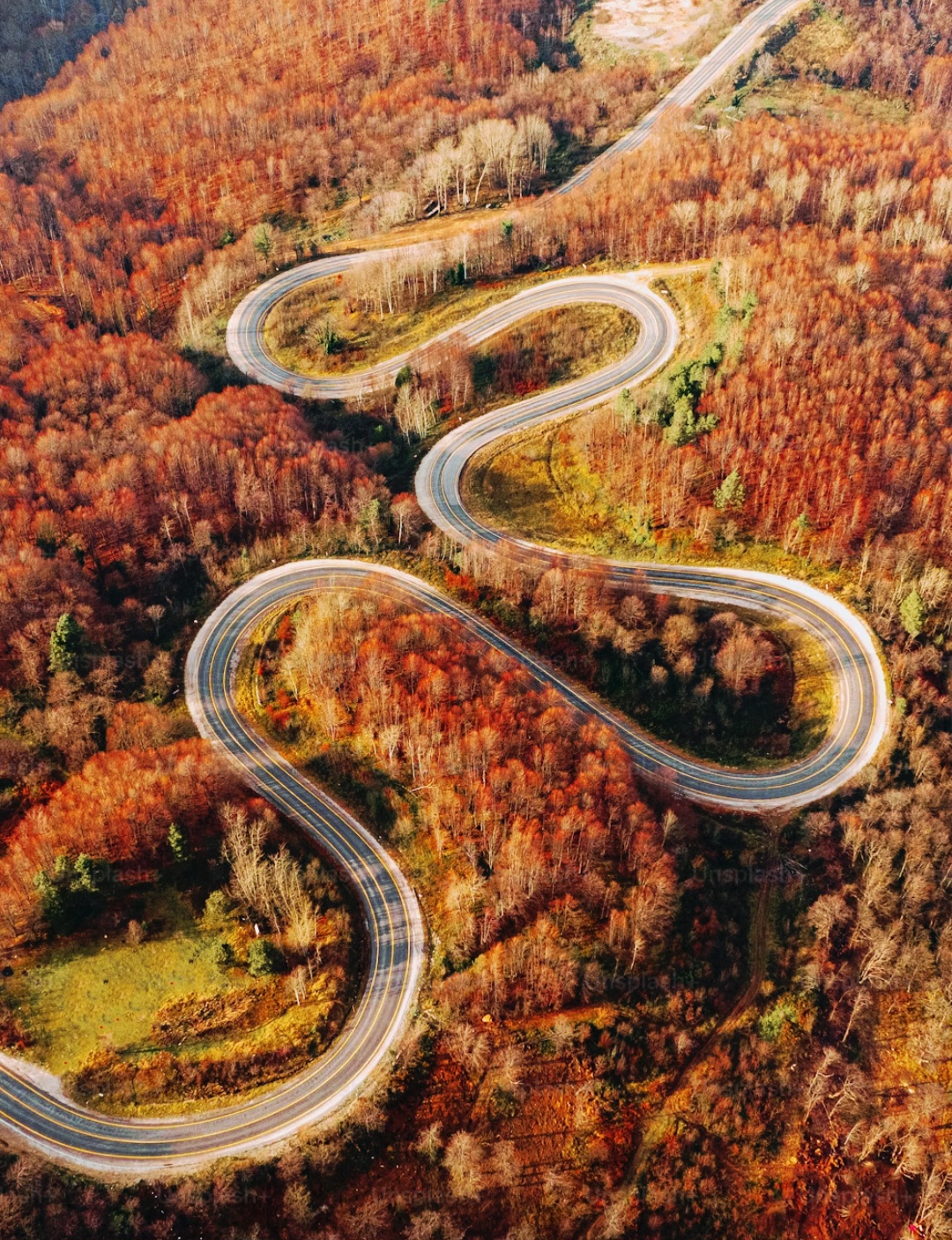 OBRAĆANJE DIREKTORICE