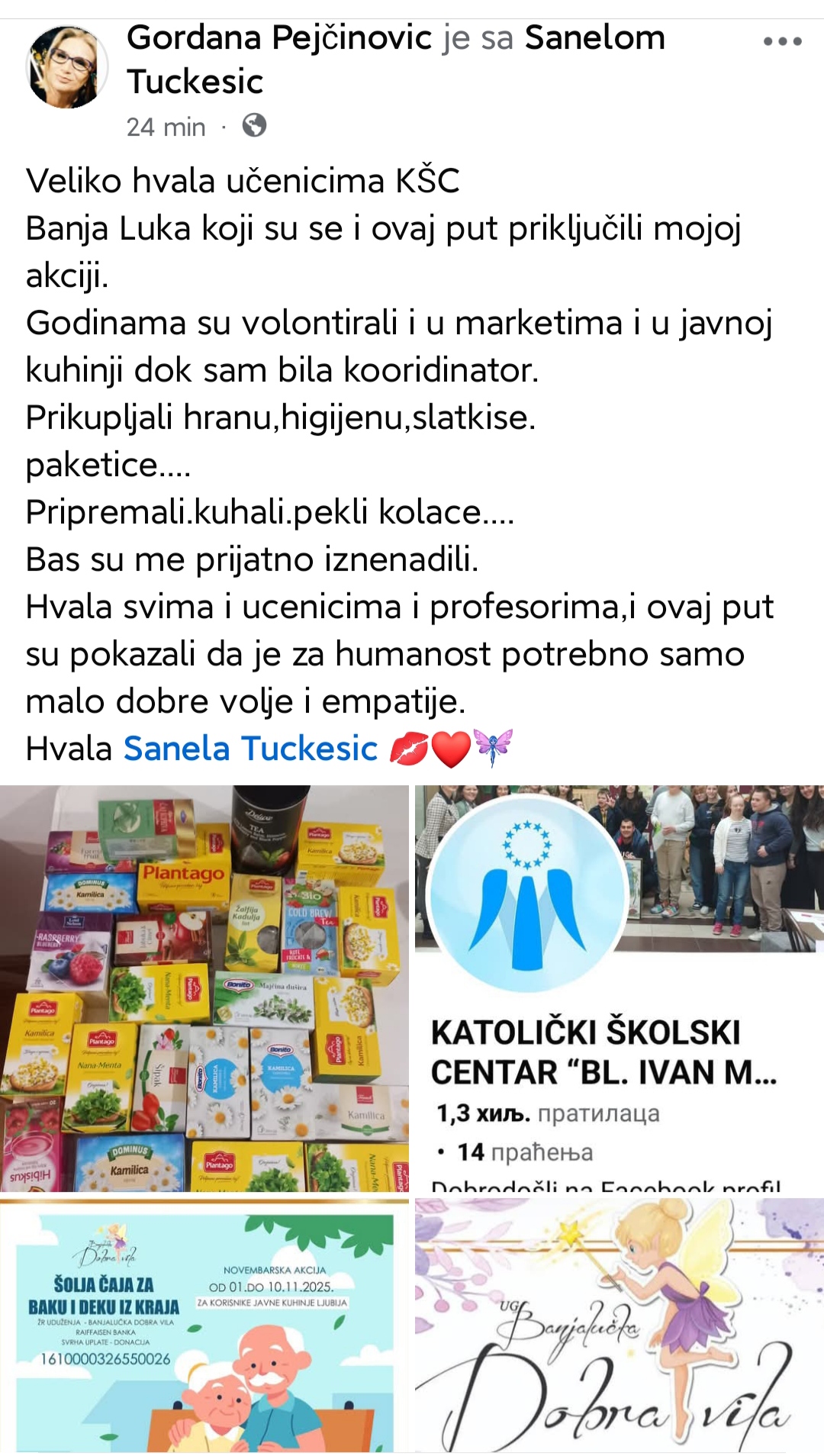 Akcija Udruženja Dobra vila